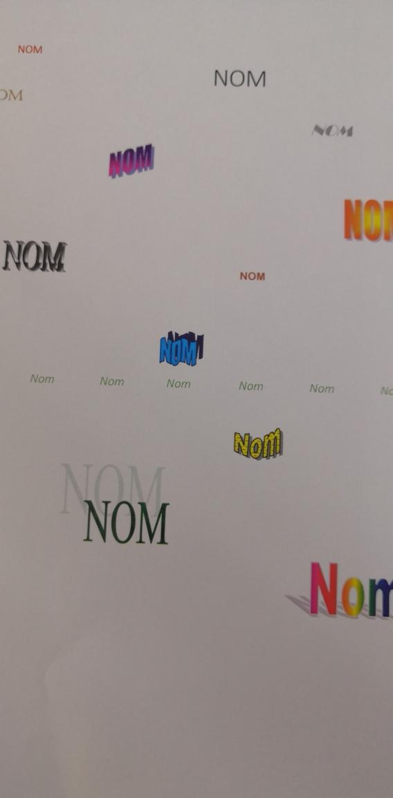 REFORME DU CHANGEMENT DU NOM DE FAMILLE